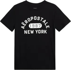 AEROPOSTALE Boys' Graphic T-Shirt - Short Sleeve Kids Crewneck Pullover Tees - Casual Graphic T-Shirts for Boys (Sizes: 8-16)