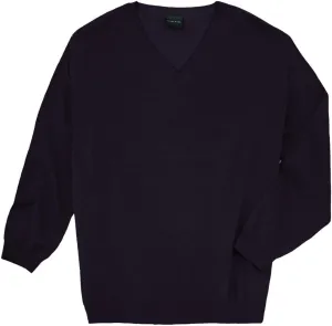Big & Tall Men's V-Neck Sweater