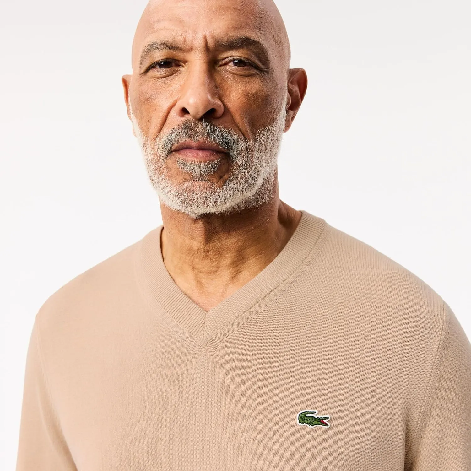 Lacoste Men's Monochrome Cotton V Neck Sweater