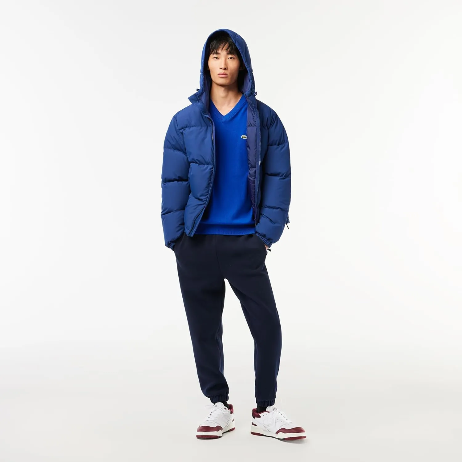 Lacoste Men's Monochrome Cotton V Neck Sweater