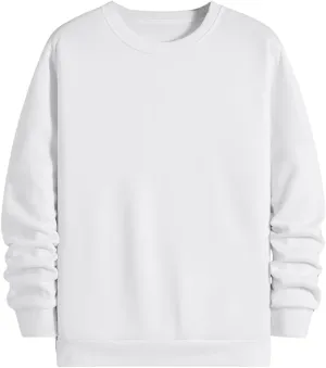 MakeMeChic Men's Casual Crewneck Cartoon Dinosaur Graphic Pullover Sweatshirt