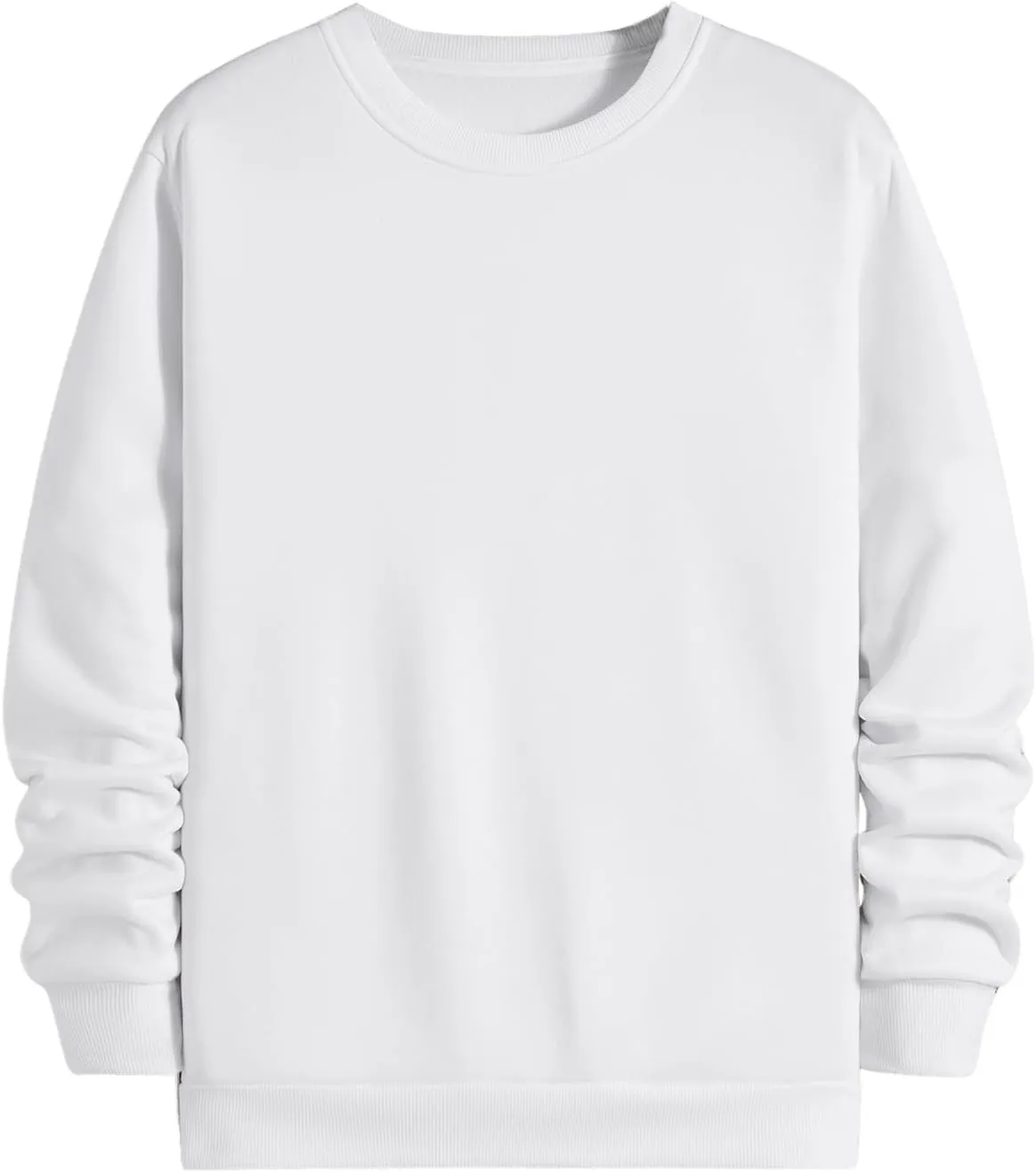 MakeMeChic Men's Casual Crewneck Cartoon Dinosaur Graphic Pullover Sweatshirt